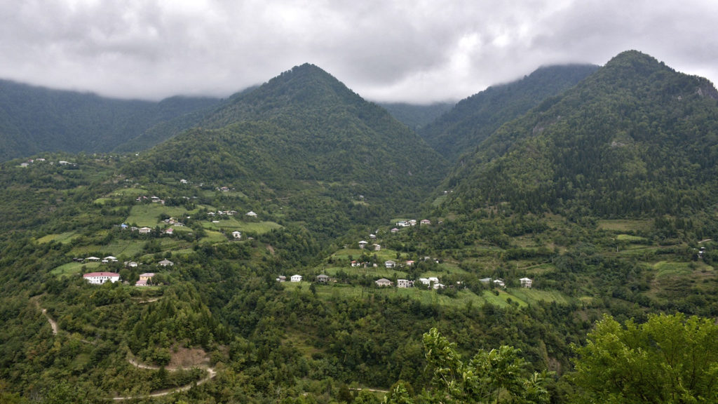 Forests & shrublands - Territories of Life